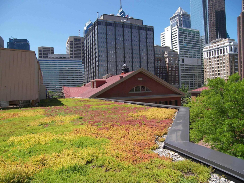 paysagiste-ST CYR SUR MER-min_green-roof-portfolio-4